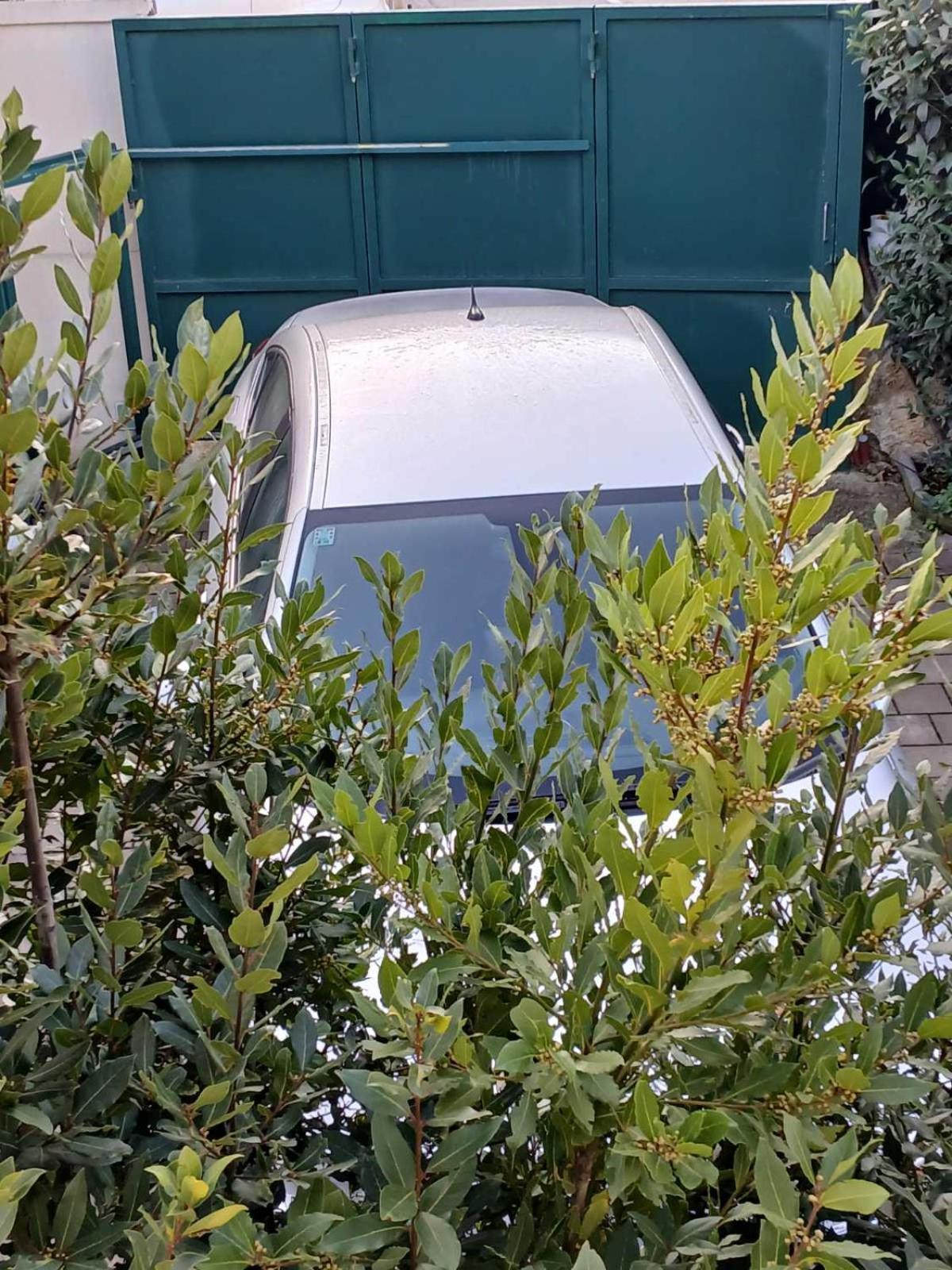 Maestral Lägenhet Poreč Exteriör bild