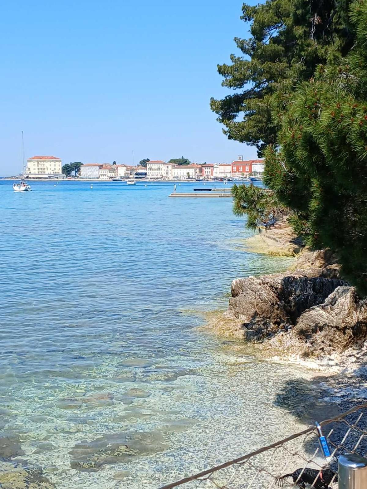 Maestral Lägenhet Poreč Exteriör bild