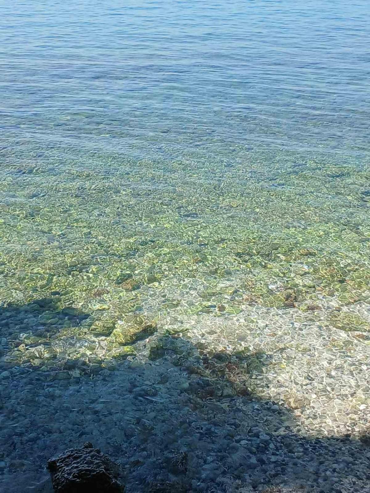 Maestral Lägenhet Poreč Exteriör bild